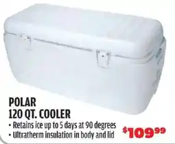 Big 5 Polar 120 Qt. Cooler offer