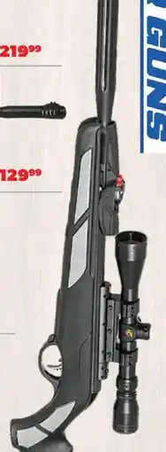 Big 5 Guns air rifle offer