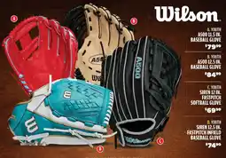 Big 5 Wilson youth a500 11.5 in. baseball glove offer