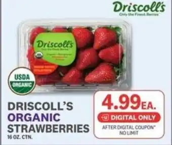 Driscoll's organic strawberries