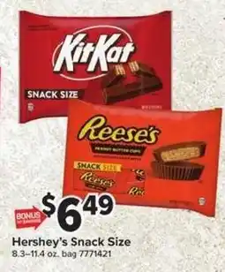 Giant Food Hershey's Snack Size offer