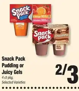 Sentry Snack Pack Pudding or Juicy Gels offer