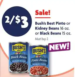 Family Dollar Bush's Best Pinto or Kidney Beans 16 oz. or Black Beans 15 oz offer
