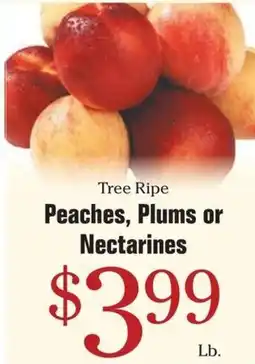 Morton Williams Tree Ripe Peaches, Plums or Nectarines offer