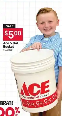 Ace Hardware Ace 5 Gal. Bucket offer