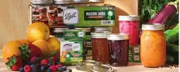 Ace Hardware Ball 1/2 Pt. Regular Mouth Mason Jars, Bx/12 offer