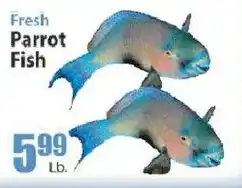Key Food Fresh Parrot Fish offer