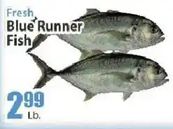 Key Food Fresh Blue Runner Fish offer