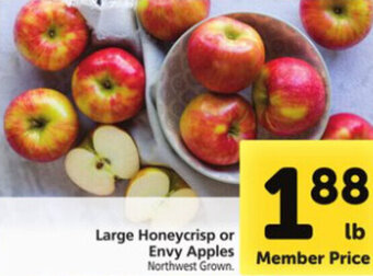 Safeway Large Honeycrisp Or Envy Apples offer