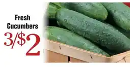 Morton Williams Fresh Cucumbers offer