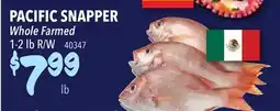 Restaurant Depot PACIFIC SNAPPER offer