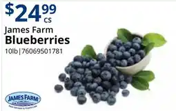 Restaurant Depot James Farm Blueberries offer