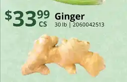 Restaurant Depot Ginger offer