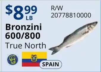 Restaurant Depot Bronzini 600/800 offer