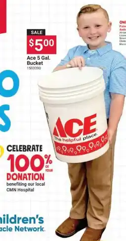 Ace Hardware Ace 5 Gal. Bucket offer