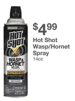 Kinney Drugs Hot Shot Wasp/Hornet Spray offer
