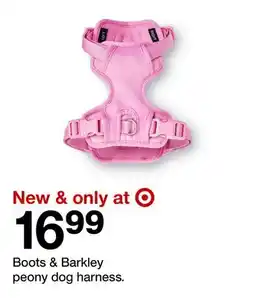 Target Boots & Barkley peony dog harness offer