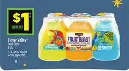 Dollar General Clover Valley Fruit Blast offer