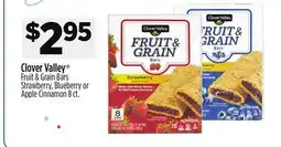 Dollar General Clover Valley Fruit & Grain Bars offer