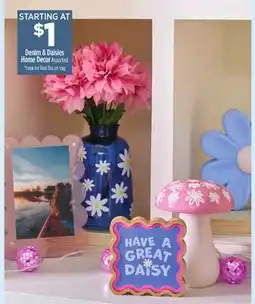 Dollar General Denim & Daisies Home Decor Assorted offer