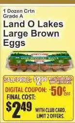Key Food Land O Lakes Large Brown Eggs offer