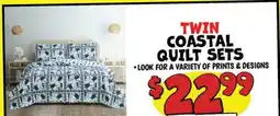 Ollie's TWIN COASTAL QUILT SETS offer