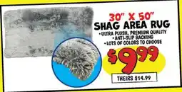 Ollie's 30 X 50 SHAG AREA RUG offer