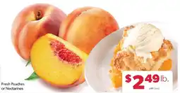 Family Fresh Market Fresh Peaches or Nectarines offer