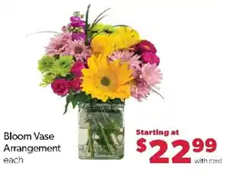 Family Fresh Market Bloom Vase Arrangement offer