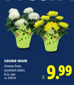 Lidl cosmo mum offer