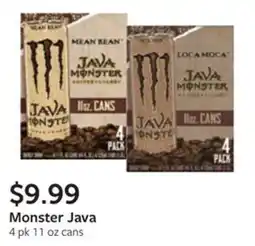 Fareway Monster Java offer