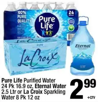 Pure Life Purified Water