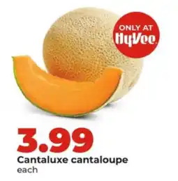 Hy-Vee Cantaluxe cantaloupe offer
