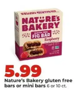 Hy-Vee Nature's Bakery gluten free bars or mini bars offer