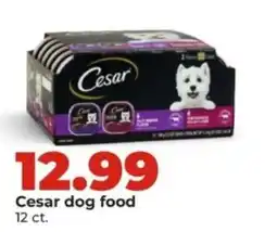 Hy-Vee Cesar dog food offer