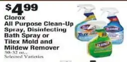 Payless Clorox all purpose clean-up spray, disinfecting bath spray or tilex mold and mildew remover offer