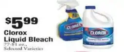 Payless Clorox liquid bleach offer
