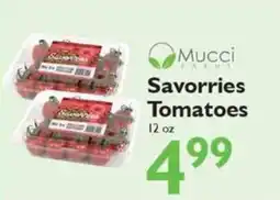 Festival Foods Mucci Farms Savorrries Tomatoes offer