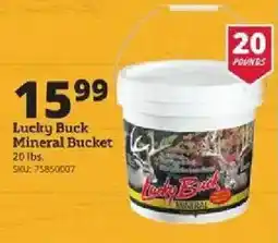 Rural King Lucky Buck Mineral Bucket offer