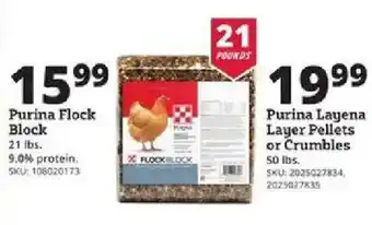 Rural King Purina Flock Block offer