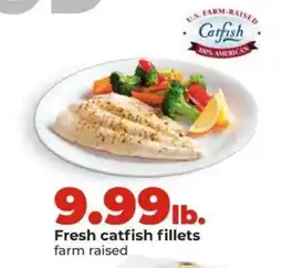 Hy-Vee Fresh Catfish Fillets offer