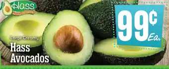 Hass Avocados