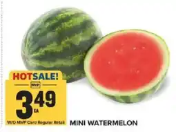 Food Lion Mini Watermelon offer