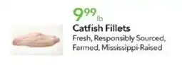 Publix Catfish Fillets offer
