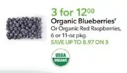 Publix Organic Blueberries offer