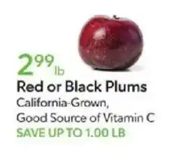 Publix Red or Black Plums offer