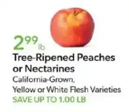 Publix Tree-Ripened Peaches or Nectarines offer