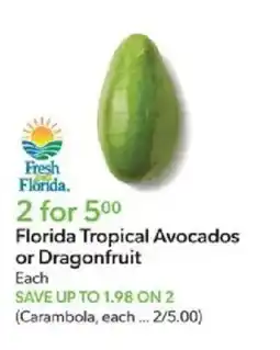 Publix Fresh Florida Florida Tropical Avocados or Dragonfruit offer