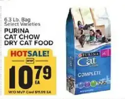 Food Lion Purina cat chow dry cat food offer