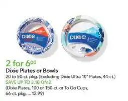 Publix Dixie Plates or Bowls offer